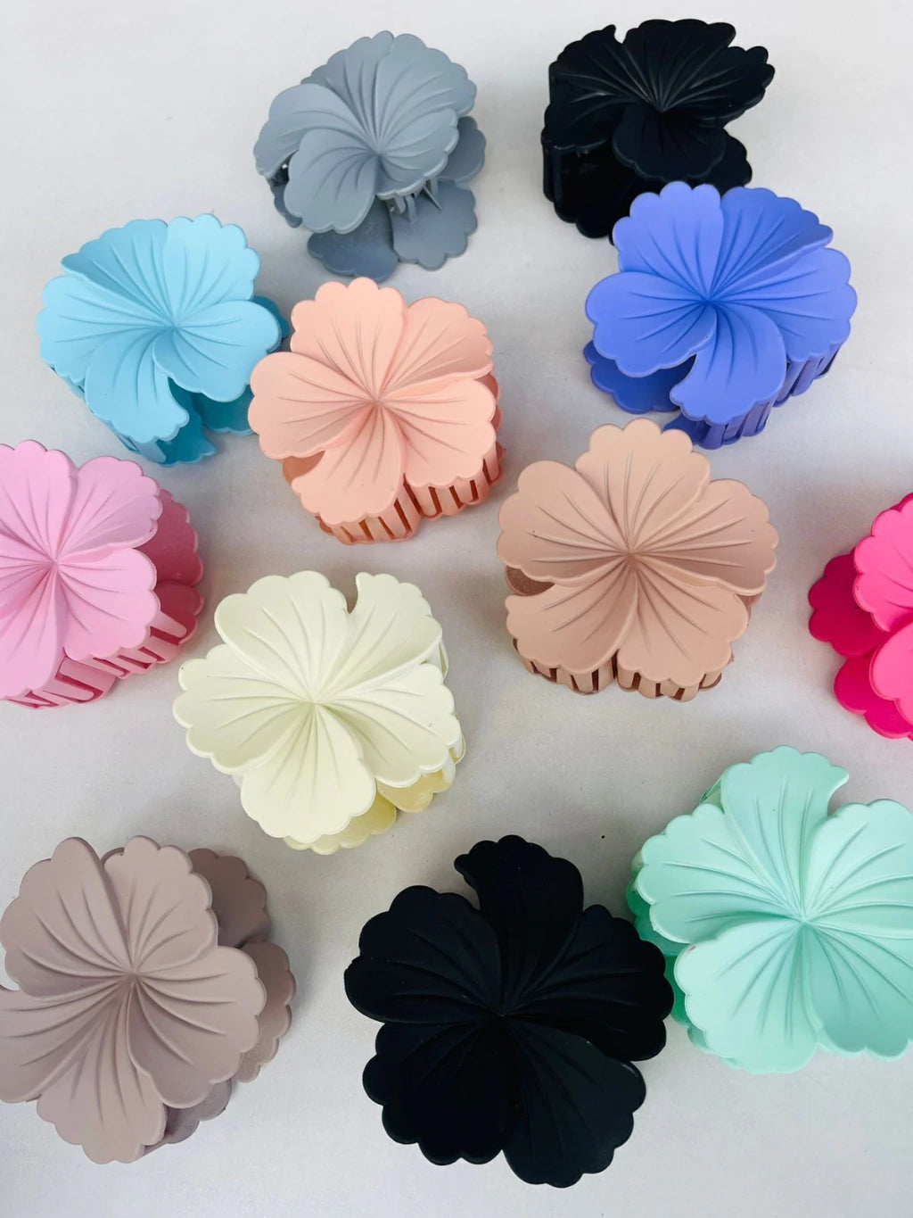 CAIMÁN FLOR MATTE X 12 UND 7922